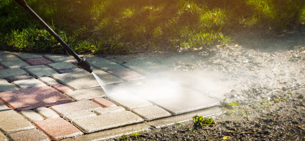 Best Dumpster Area Cleaning  in Al Creek, CO